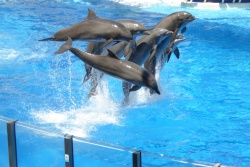 Atpūtas un ceļojumu piedāvājumi 04.11.2025 - 11.11.2025 Brīvdiena Klaipēdā  Nikos Travel